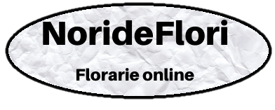 florarie online Chisinau